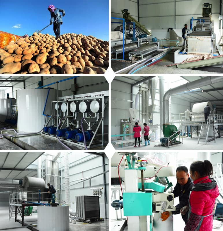 Caso de proyecto: planta local de procesamiento de almidón de patata en China Capacidad: 300 toneladas por entrada diaria de patata fresca Ubicación: en China