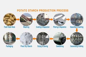 Planta de procesamiento de almidón de patata