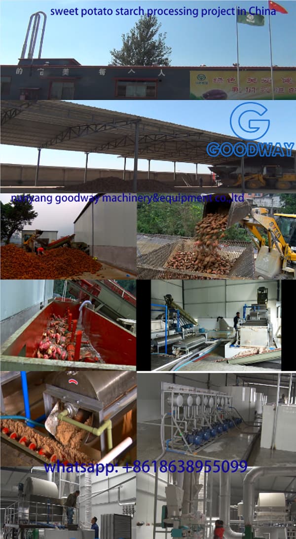 Proyecto de procesamiento de almidón de camote en China